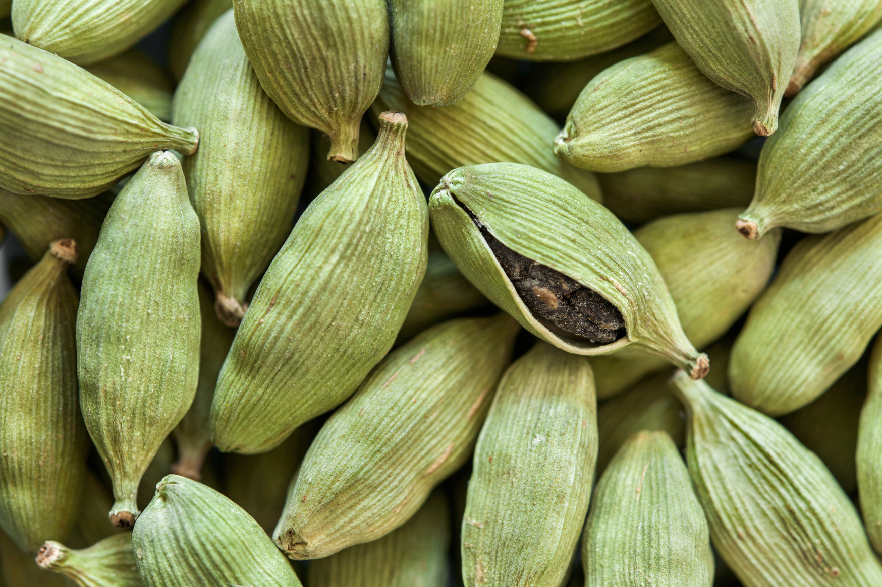 cardamon seeds